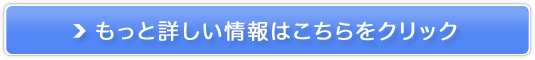 Ղ̃I[CΌPlus(vX)̔TCg